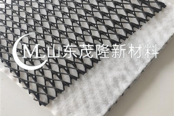 復(fù)合排水網(wǎng)/復(fù)合排水網(wǎng)  第5張